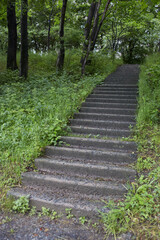 Long stone concrete stairs in the forest. Stairs in the woods against the background of grass. Stone stairs view from below. Road in the woods, laid out of stone steps.
