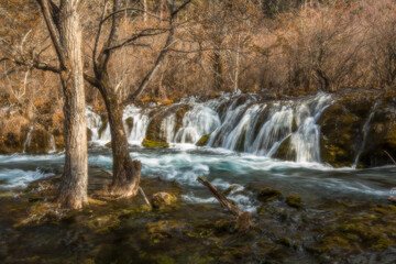 waterfall in the forest