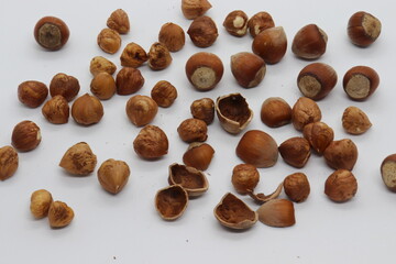 
hazelnut, nut shell and nut shell on white background