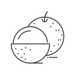 Lychee icon, linear isolated illustration, thin line vector, web design sign, outline concept symbol with editable stroke on white background.