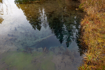 Blue spring lake in Estonia.