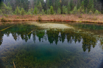 Blue spring lake in Estonia.