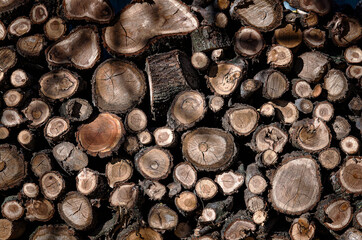 Pile of wooden logs stacked together on top of each other. Wall of stacked wood logs as background. Timber texture