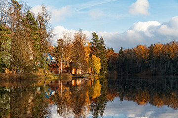 Fall time bright colors around the lake in the forest. Nelijarve, Estonia.