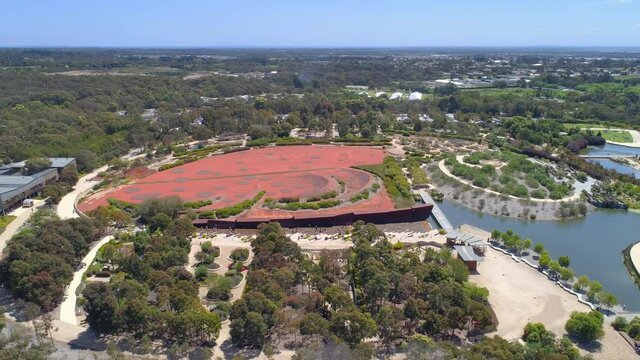 Aerial orbit pan around Australian Garden display at botanic gardens in Cranbourne, Australia