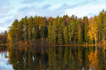 Autumn colorful foliage over lake with beautiful woods in green and yellow color.
