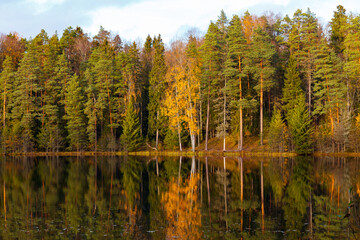 Autumn colorful foliage over lake with beautiful woods in green and yellow color.