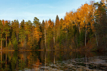 Autumn colorful foliage over lake with beautiful woods in green and yellow color.