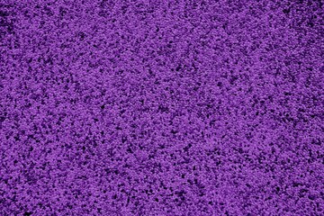 Natural violet colored granite stone texture-background
