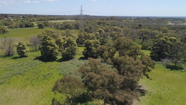 Backward flight low over trees and grass on bright summer day in Melbourne, Australia