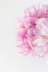 Pink abstract floral background. Peony flower close up. Copy space. Selective focus. Vertical crop.