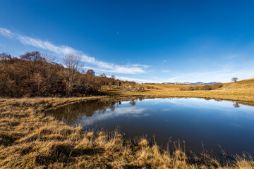 Small lake for cows in Lessinia Plateau Regional Natural Park, Corno d'Aquilio. In the background the Monte Baldo (Baldo Mountain). Verona Province, Veneto, Italy, Europe.