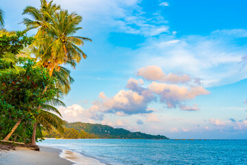 Fototapeta na wymiar horizontal photo, beach on Koh Samui in Thailand, paradise, sunny beach, coconuts and palm trees, sunbathing and swimming in the sea, blue ocean and sky, travel to the resort, relaxation and enjoyment