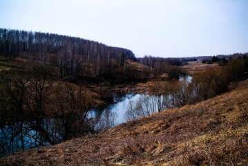 Fototapeta na wymiar little river in spring in a clear morning