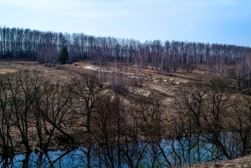 little river in spring in a clear morning