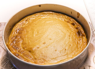 Homemade cheesecake in a baking tray