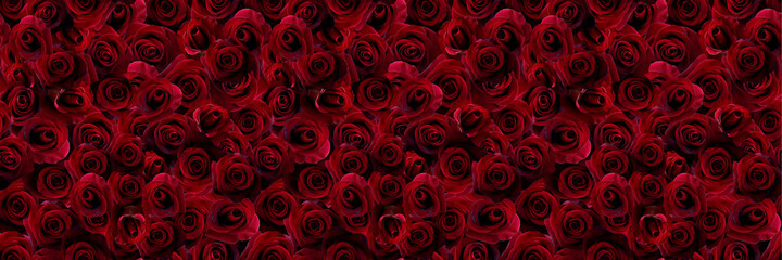 Seamless pattern with red roses flower wall