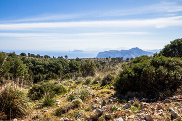 Mondello bei Sizilien. Hügellandschaft im Frühling direkt am Meer mit Blick auf die Berge und Küste Siziliens in Italien