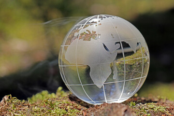 Weltkugel aus Glas im Wald