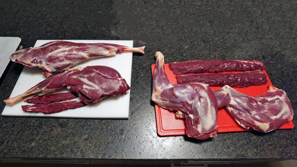 preparing the meat from a chamois buck