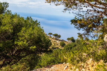 Mondello bei Sizilien. Hügellandschaft im Frühling direkt am Meer mit Blick auf die Berge und Küste Siziliens in Italien