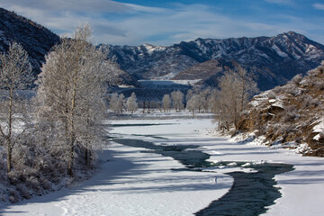 Fabulous winter landscape on the river. Trees in hoarfrost. Bright winter sunny day. Winter in Russia, Altay. Christmas card