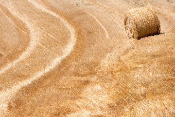 Straw bale in harvested wheat field