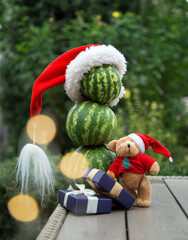 made of three watermelons Snowman in a Santa hat, gift boxes, teddy bear. Holiday concept for the New Year. Global warming problems