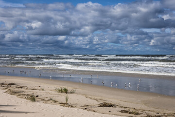 Baltic Sea beach on Vistula Spit between Vistula Lagoon and Bay of Gdansk, near Katy Rybackie village, Poland