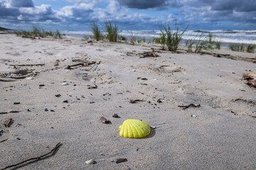 Lost plastic sand toy on Baltic Sea beach on Vistula Spit between Vistula Lagoon and Bay of Gdansk, near Katy Rybackie village, Poland