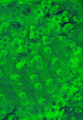 Watercolor green background new year grass abstract