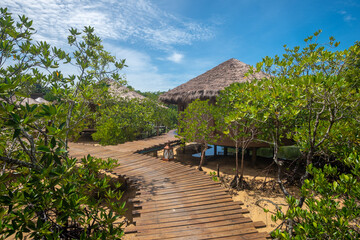 Fototapeta na wymiar Small huts in mangrove forest in Thailand.