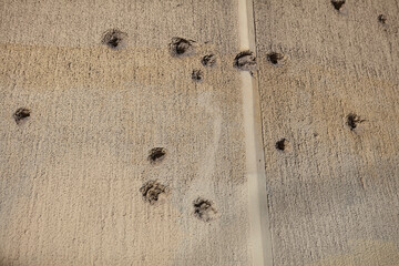 Bullet hole on a wall