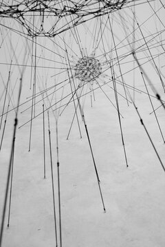 cellula di virus