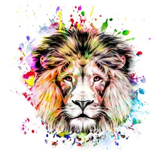 Zelfklevend Fotobehang lion head isolated on color background © reznik_val