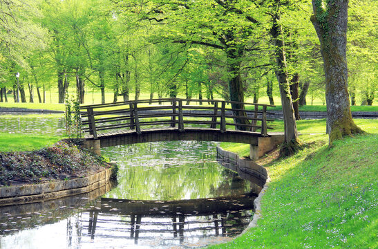 Water, lake, pond and bridge in spring park.
