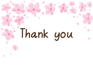 Thank you card with hand writing and pink cherry blossom on white background vector illustration.