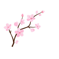 Pink cherry blossoms branch icon on white background vector illustration. Japanese Sakura flower.