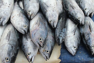 Obraz premium fresh fish on the market
