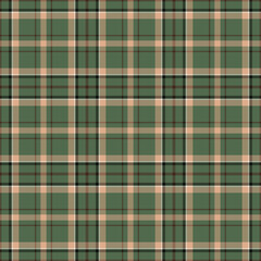 Plaid seamless pattern. Vector background of textile ornament. Flat fabric design.