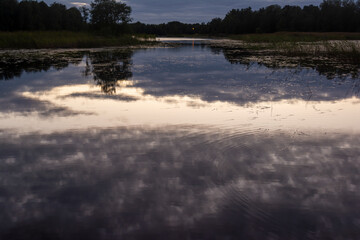 smooth surface of a grassy lake in the forest and the reflection of the sunset sky