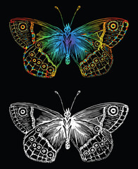 Fototapeta na wymiar Vector image of outlines decorative butterfly