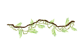 Liana as Long-stemmed Woody Vine Climbing and Tangled Around Tree Vector Illustration