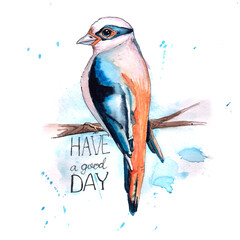watercolor bird isolated illustration on a white background, a little blue bird