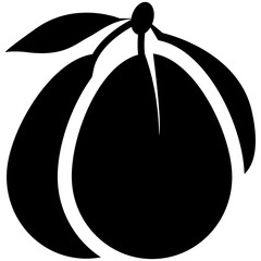 
A bunch of plum fruit with green leaves
