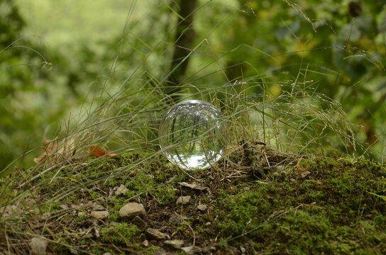 cristall ball