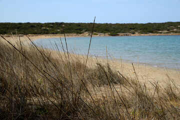paros,beach,greece,island,aegean,beautiful,blue,bright,color,contemplate,cyclade,senjoy,europe,europe, hellas,
landscape,mediterranean,mountain,nature, ocean, pleasure,relax,relaxation,romantic,sand,s