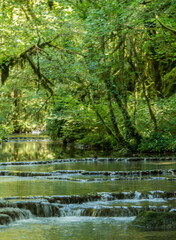 Ruisseau sauvage à Serrières-sur-Ain, France
