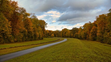 road in autumn forest