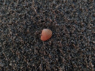 black sand beach